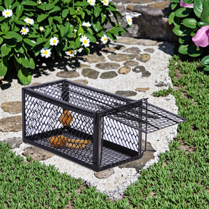 Factory Price Metal Rat <strong>Trap</strong> Cage No Kill Live <strong>Mouse</strong> <strong>Trap</strong> Traditional Rodent <strong>Traps</strong> - Product Image 5
