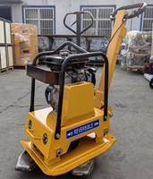 Compacteur manuel lourd de haute qualité de plaque de saleté en caoutchouc de vibration d'essence de 160 kg fabriqué en Chine