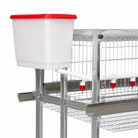 Cage à poulets de type H à 3 niveaux, système de cages en batterie automatique, alimentation, abreuvement, collecte des œufs, élimination du fumier, haute résistance à la corrosion