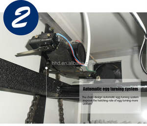 Veithhd — 4000 œufs <span class=keywords><strong>de</strong></span> poulet, équipement pour élevage des œufs d'autruche, YZITE-22 - Product Image 6