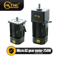 50/60HZ 110V 220V 380V 1400 RPM Type de vitesse constante électrique moteur à Induction monophasé 250W Micro motoréducteur à courant alternatif
