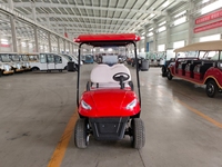 Voiturette de golf électrique 4 roues 4 places, luxe, OEM personnalisable, freins à disque, batterie lithium/plomb-acide, moteur AC 3-5KW
