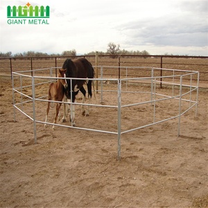 Panel <span class=keywords><strong>de</strong></span> valla <span class=keywords><strong>de</strong></span> caballo <span class=keywords><strong>de</strong></span> Metal galvanizado portátil puestos <span class=keywords><strong>de</strong></span> hierro/acero/Marco <span class=keywords><strong>de</strong></span> hierro fundido acabado galvanizado en caliente modelo <span class=keywords><strong>de</strong></span> bajo <span class=keywords><strong>mantenimiento</strong></span> 3D - Product Image 2