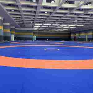 <span class=keywords><strong>Taishan</strong></span> Roll-Up <span class=keywords><strong>Wrestling</strong></span> <span class=keywords><strong>Mats</strong></span> Producto de alta calidad de China para <span class=keywords><strong>Wrestling</strong></span> Mat Cover - Product Image 4