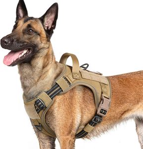 Échantillon gratuit 100% polyester gilet imperméable pour chien automne grand chien vêtements de protection pour animaux de compagnie avec pointes pour prévenir les blessures - Product Image 5