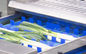 Máy cắt Tỏi tây cần tây kép công nghiệp với cắt gốc băng tải và cắt phân đoạn - Product Image 2