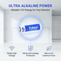 Baterai Alkaline A27 27A 12V 100 menit waktu pengosongan Label Kustom untuk Sensor Gerak Pembuka Garasi MOQ 5000