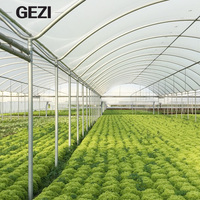 Serre agricole à double couche, à travée unique, à profil en dents de scie, avec film plastique en polyéthylène (PE/ETFE) pour diffusion automatique