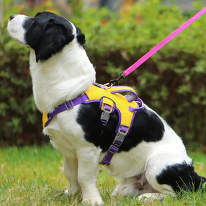 Dog Escape Proof Leash Vest Style <strong>Harness</strong> Small and Medium Dog <strong>French</strong> <strong>Bulldog</strong> Corgi Anti Pull Dog Rope - Product Image 5