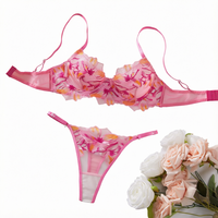 Ensembles de lingerie sexy en dentelle brodée, soutien-gorge et culotte, épaisseur standard, rouge rose, transparents, demi-chemises exotiques pour femme, ensembles de lingerie ODM en gros