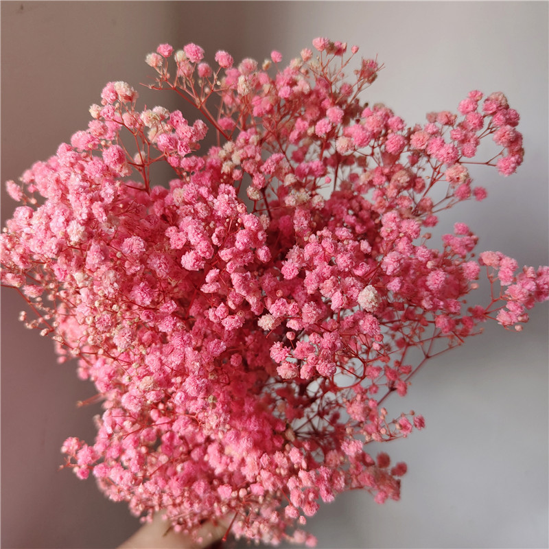 Rose foncé