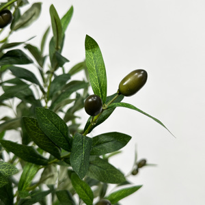 Olivier de créateur 4 pieds 5 pieds 6 pieds 7 pieds Jardinière minimaliste de verdure architecturale pour affichage intérieur et extérieur - Product Image 4