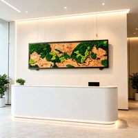 Décoration murale en mousse taille unique avec bois naturel et mousse, pour la maison, verdure rustique, cadre en mousse et bois d'olivier