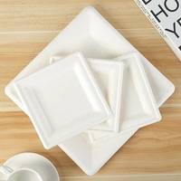 Plaque carrée de 6 pouces approuvée par le BPI de bonne qualité fabriquée à partir de bagasse compostable