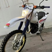 Moto d'occasion importée Yamaha 250 Big Deer tout-terrain, High Race Magician 400, moto de route, de croisière et de rallye, modèle à moteur brossé