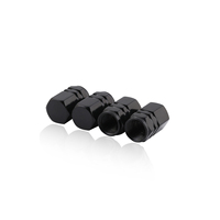 Pack de 300 pièces voiture pneu personnalité réaménagement noir roue tige Valve bouchon personnalité Modification accessoires costume