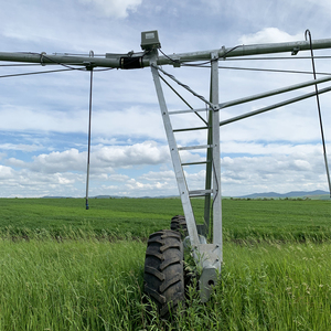 Сельскохозяйственная самоходная линейная оросительная система с боковым движением ирригатор на морковных или картофельных полях - Product Image 3