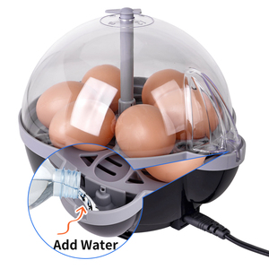 6 pièces poulet Mini incubateurs à œufs incubateur à retournement automatique <span class=keywords><strong>Machine</strong></span> à couver les œufs incubateur de poulet à vendre - Product Image 3