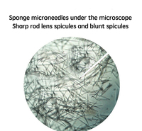 Thérapie de micro-aiguilletage bio aux spicules de Spongilla, élimination de l'acné, peeling aux algues, resserrement de la peau, masque en poudre peel-off aux algues naturelles