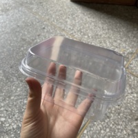 Vente chaude Rectangle En Plastique Gâteau Boîte Dessert Récipient Avec Couvercles Transparents Boulangerie Emballage PET Boîte