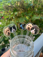 Bâtonnets mélangeurs personnalisés en acrylique avec visage de chien ou de chat, lettres nominatives pour mariage, fête prénatale, cocktail et anniversaire