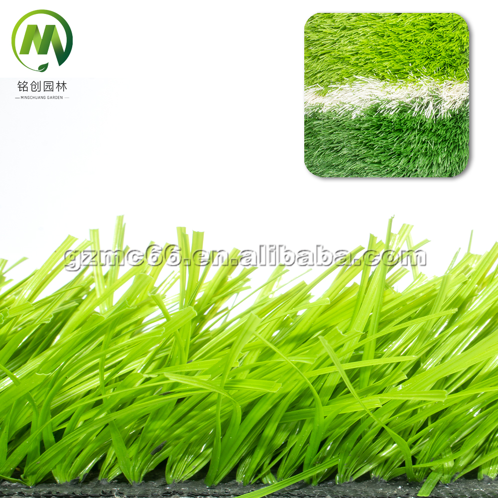 Football Grass
