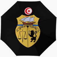 Parapluie automatique de haute qualité à ouverture et fermeture entièrement automatiques, imprimé du drapeau de la Tunisie, style national créatif, cadeau commémoratif significatif
