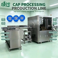 Équipement d'intégration d'automatisation pour la marquage laser des bouchons de bouteilles (un article, un code) avec acquisition de données et rejet des défauts pour ligne de production