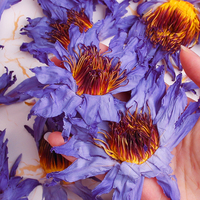 Aroma Alami yang Kuat, Bunga Teratai Biru Kering Utuh & Kelopak yang Digiling Grosir, Ideal untuk Campuran Herbal untuk Merokok