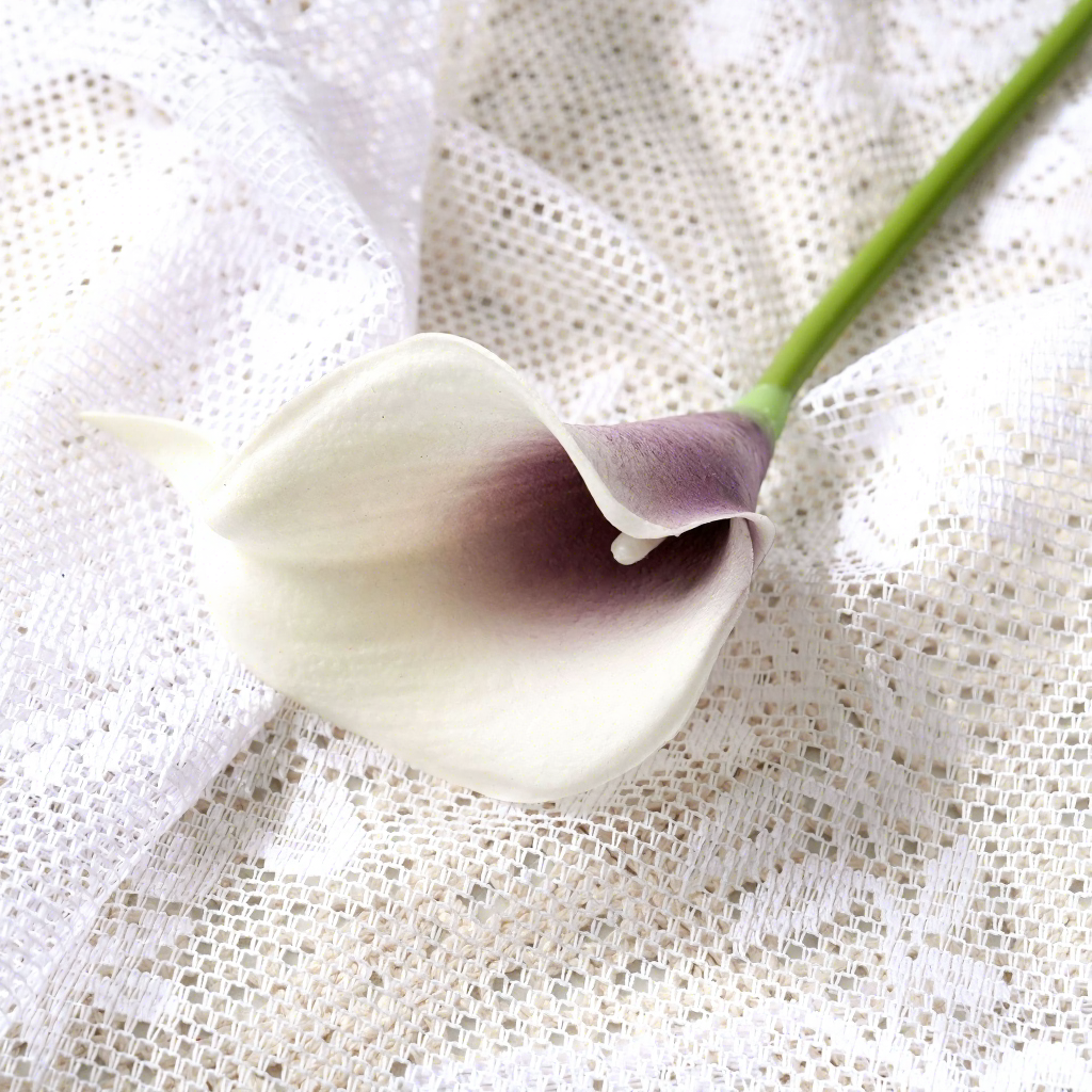 Corazón púrpura blanco