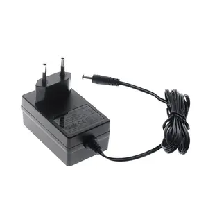 OEM AC100-240V To DC 18V 1A Power Adaptor 24V 1A 36V 1A Power Adapter 12V 2500mA EU Plug Power Supply with CE GS