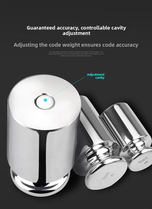 Équipement de laboratoire pour ensembles de poids pour balances et balances de précision 1mg-500g F2 Un ensemble en acier inoxydable - Product Image 3