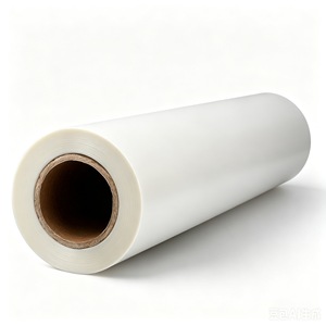 DTF Printing PET Transfer Film Compatible <strong>HotP</strong> Eel Cold Peel Process Match DTF Hot Melt Adhesive Powder - Product Image 3