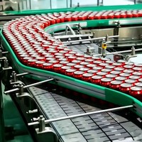 Ensemble complet de machine de remplissage automatique de boissons gazeuses en canettes 10000-30000 CPH avec engrenage central pour ligne de production de boissons de 500 ml et 330 ml