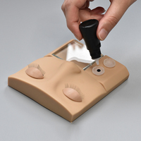LashPlus – Mannequin multifonctionnel avec des paupières amovibles, pour s'entraîner à l'extension des cils du visage, Kit de moulage de la tête