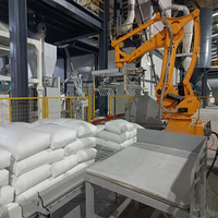 Machine de Désballotage Robotisée 6 Axes Entièrement Automatique pour Matériaux Ensachés – Manipulateur de Désballotage Direct Usine