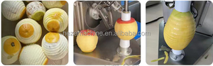 Machine à éplucher les agrumes commerciale de comptoir : citron, pêche, orange, mangue - Product Image 6