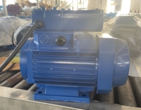 Moteur Électrique à Induction CA Monophasé Personnalisé ML 1,1 kW 1,5 CV 2980 Tr/Min 220 V/230 V