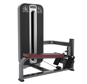 YLSY001XB610 YLSY001XB610 YLSY Machine de musculation commerciale Lat Pulldown avec fonction pour les jambes, construction en acier, pile de poids de 160 kg, certifiée CE - Product Image 6