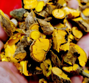 Saf doğal yüksek kalite altın mühür kök ekstresi tozu Hydrastis Canadensis yaprak ekstresi altın mühür özü - Product Image 3