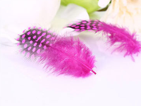 Teint naturel 50pc ploybag plume de guinée pour bricolage artisanat cheveux Costume accessoire de pêche mouche attachant ornement rêve frange décor