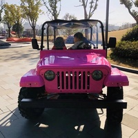Easy-go Nouveau Buggy des Dunes à 2 Places à Grande Vitesse pour Adultes, Certifié CE, Prix Usine Abordable, En Promotion