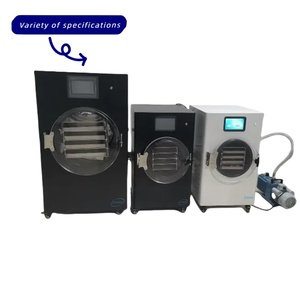 Mesin pengering beku rumah elektrik dengan pompa tanpa minyak Lyophilizer untuk pemrosesan makanan untuk pengeringan bubuk kopi permen Filipina - Product Image 4