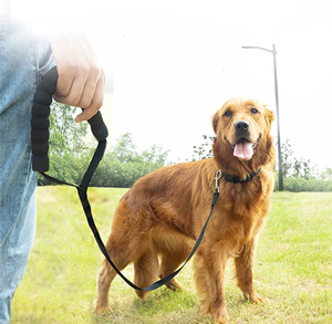 Correa de lujo para perro, Mango antideslizante, correa de nailon para perro, correa de plomo, entrenamiento reflectante clásico para mascotas para exteriores, fábrica personalizada - Product Image 3