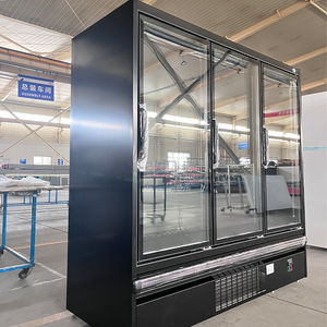 Refrigerador Comercial Vertical con Puerta de Vidrio, Congelador Multideck Enchufable, Congelador Vertical DDB para Supermercado - Product Image 6