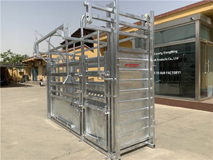 China Equipo de ganado Crush Ganado Entrega Chute Vet Crush - Product Image 2