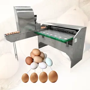 OCEAN Industrial Candle Egg Sorter Grader Automatic Sale Wash Sort Gear and Pack Manufacturer of Egg Grade Machine