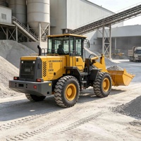 Chargeuse sur pneus durable de 16 tonnes et 220 CV, directement de l'usine, avec godet de 3,6 m³ pour la manutention de matériaux en vrac dans les cimenteries, chargeuse sur pneus