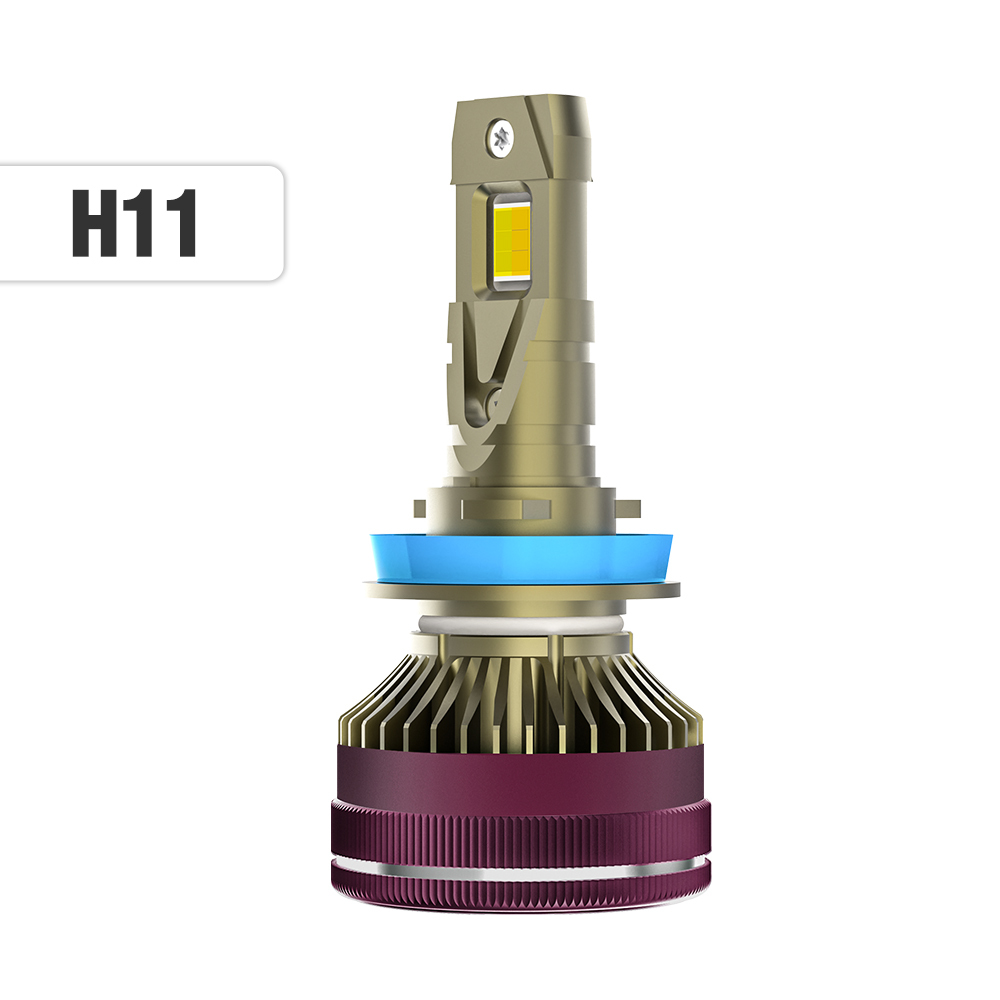 H11
