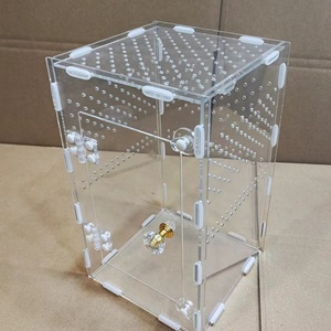 Scatola di allevamento di insetti in acrilico trasparente per la <span class=keywords><strong>zia</strong></span> del ragno della tarantola - Product Image 1